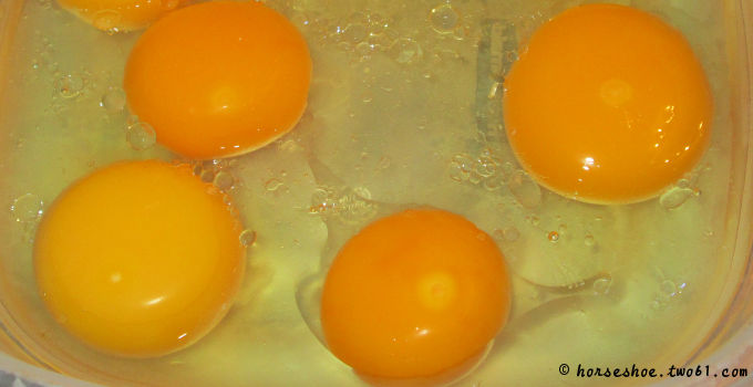How to Tell Chicken Eggs Fertilized